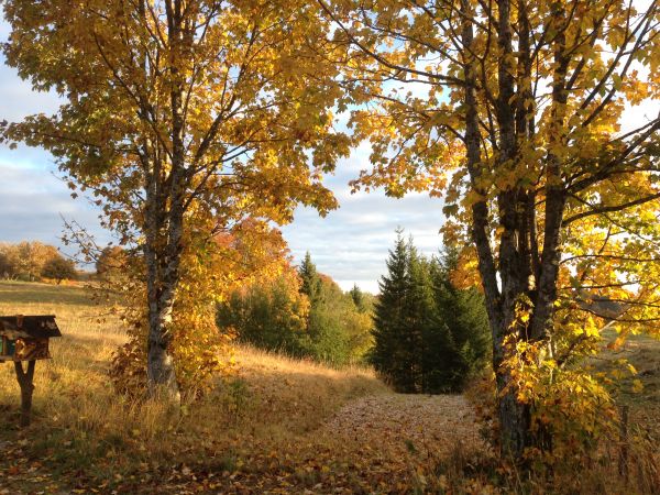 rencontre saint claude jura