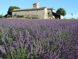 Holiday rental in the Gard, Languedoc. near Vers Pont du Gard