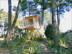 Unusual stay in perched hut in Loire Atantique.