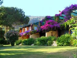 vacances en Corse du Sud  Cargese n2139