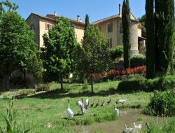 Relaxation, spa, massages dans le Var Provence Alpes Cte d'Azur n622