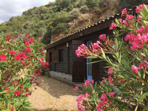 La Cabane Du Pêcheur Sur La Plage Location Dun Gite à Ota