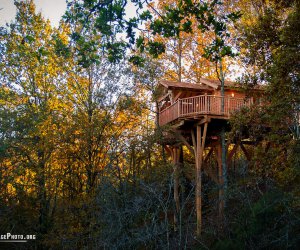 Puygaillard De Quercy Cabane perche & spa - Tarn-et-Garonne