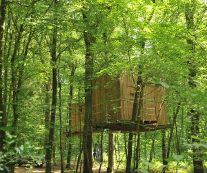 Mont Sous Vaudrey Cabane Ecureuil - Jura