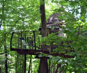 Ranchot Cabane Mandubienne - Jura