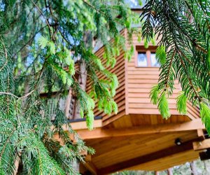 LES AVANCHERS VALMOREL La Cabane dans les arbres de Valmo'Insolite - Savoie