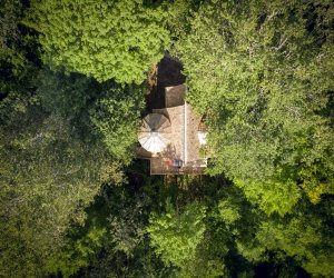 VERNOIS LES VESVRES Cabane frique  Spa - Cigogne noire - Cte-d'Or