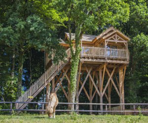 Cabane Spa Harris - Finistre