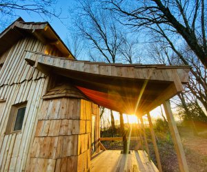 La Maison de Merlin, cabane magique avec SPA - Ctes-d'Armor