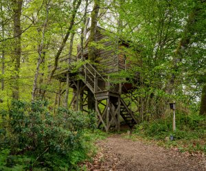 Raon Aux Bois La Pat' de l'ours - Vosges