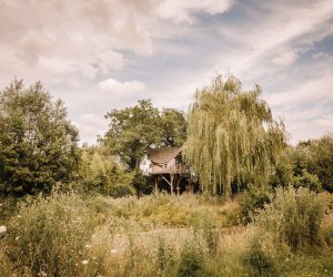 Hbergement de vacances en Mayenne  Pommerieux n23394