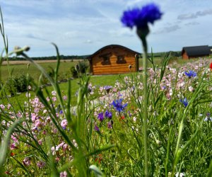 romain sur meuse Haute-Marne cabane perche en Champagne Ardennes