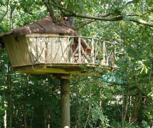 La Chapelle Chausse Ille-et-Vilaine cabane perche en Bretagne