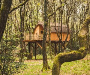 Cabane Tinto - Finistre