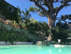 vacances en Haute Corse  Bastia n1036