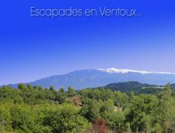 Holiday cottage near Luberon and Ventoux near Bonnieux