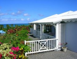vacances en Guadeloupe  Sainte Rose n1199