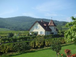 Holiday rental near Colmar in Alsace