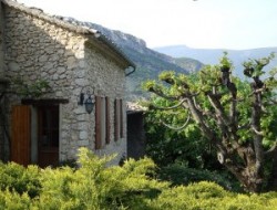 Holiday home near Nyons and Avignon in Provence.