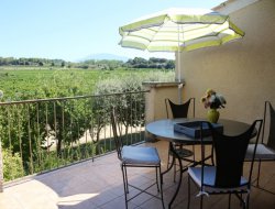Holiday homes in Vaison la Romaine, Provence.