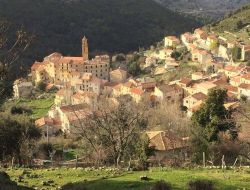 Hbergement de vacances en Haute Corse  Omessa n16165