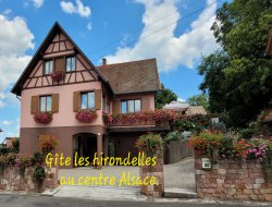 Holiday rental in center of Alsace, France. near Bernardswiller
