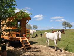 Unusual stay in Gypsy caravan in Provence. near Aiguines