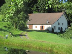 Holiday home in the Vosges, Lorraine near Charmois l'Orgueilleux