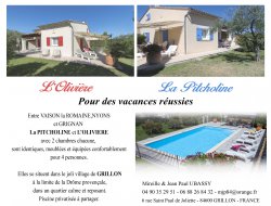 Holiday homes with pool near Avignon in France. near Nyons