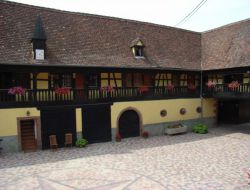 Holiday accommodation in Alsace, France. near Dambach