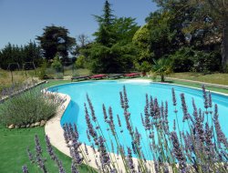 Holiday rental with pool near Carcassonne in France. near Escueillens