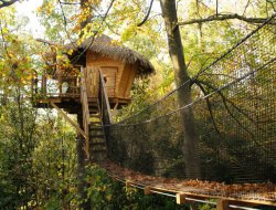 Unsual stay in a tree house in Nouvelle Aquitaine.