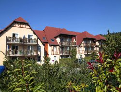 Residence de vacances avec piscine chauffe en Alsace