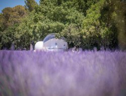 Unusual holiday rentals in Provence, France. near Lanon Provence