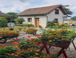 Holiday cottage near Clermont Ferrand and Vulcania in Auvergne. near Ceyssat