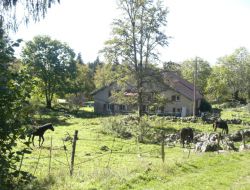 Longchaumois Gite et ferme equestre dans le Jura (39)