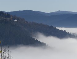 Big holiday cottage in Vosges near Le Syndicat