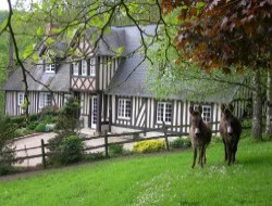 Chambres d'htes en Pays d'Auge (Normandie)  10 km* de Le Pin