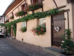 Self-catering apartment in Riquewihr in Alsace. near Hunawihr