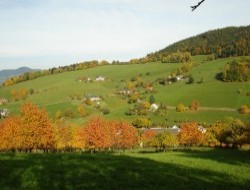 Rural cottage in Alsace near Luttenbach prs Munster